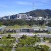 加州科学院学院|信用：蒂姆格里菲斯