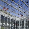 加州科学院学院|信用：蒂姆格里菲斯