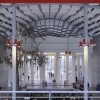 加州科学院学院|信用：蒂姆格里菲斯