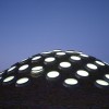 加州科学院学院|信用：蒂姆格里菲斯