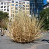 苏克棚城市设计大赛：2010 |信贷:Murrye伯纳德