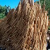 苏克棚城市设计大赛：2010 |信贷:Murrye伯纳德