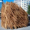 苏克棚城市设计大赛：2010 |信贷:Murrye伯纳德