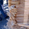 苏克棚城市设计大赛：2010 |信贷:Murrye伯纳德