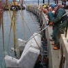 Habitat Skirt Construction |由WorleyParsons Canada Ltd.提供。