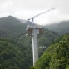 形式旅行者桥梁建筑|信贷：约束