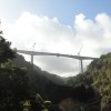 形式旅行者桥梁建筑|信贷：约束