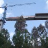 增量发射桥梁建筑|信贷：约束