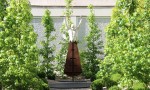 卡萨装饰|妮可·朱厄尔提供图片