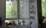 卡萨装饰|妮可·朱厄尔提供图片