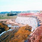 Remediation Soil Stabilization