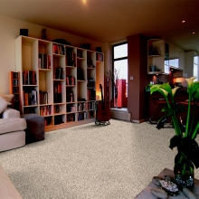 地毯来自回收的塑料瓶